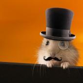 SirHamsterAlot logo